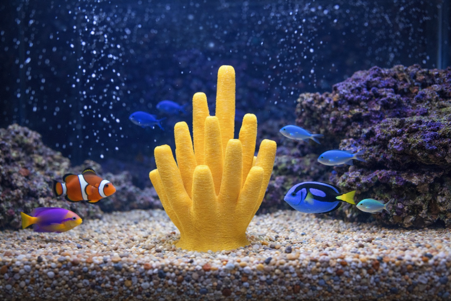 Aquarium Decoration - Custom underwater themed piece